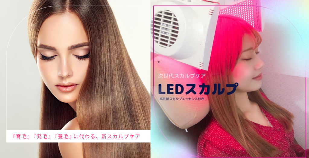 LEDスカルプ